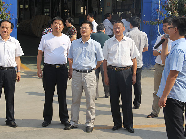 邢台市市长孟祥伟到2003网站太阳集团线缆集团视察