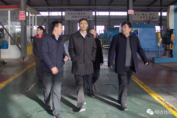 省市场监管局局长金洪钧调研2003网站太阳集团