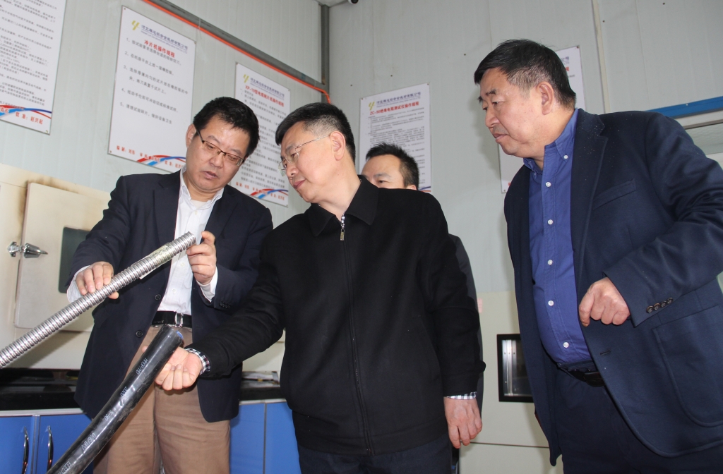 省市场监管局质量发展局局长国建峰考察2003网站太阳集团